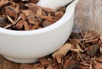 Saw Palmetto Benefits, Uses, and Side Effects for Prostate Health