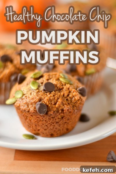 Moist Chocolate Chip Pumpkin Muffins 2 Chocolate Chip Pumpkin Muffins