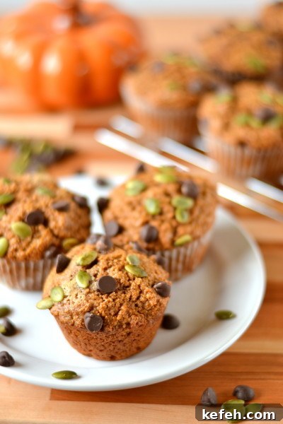 Moist Chocolate Chip Pumpkin Muffins 3 Pepita Chocolate Chip Pumpkin Muffins