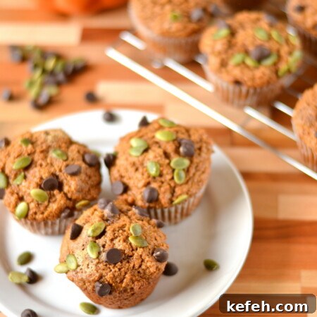 Moist Chocolate Chip Pumpkin Muffins 4 Whole Wheat Pepita Chocolate Chip Pumpkin Muffins