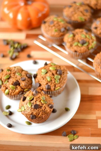Moist Chocolate Chip Pumpkin Muffins 5 100% Whole Wheat Pepita Chocolate Chip Pumpkin Muffins