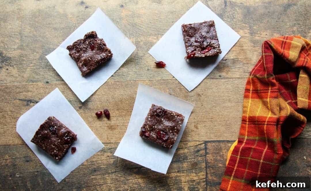 Chocolate Hemp Seed Protein Bars
