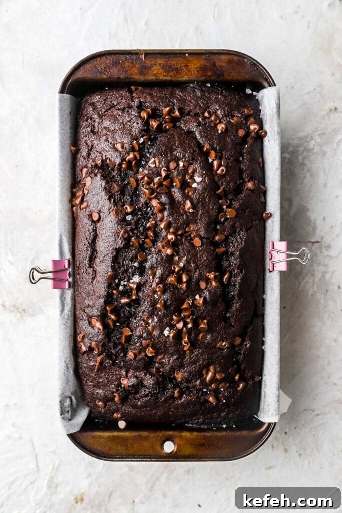 Fudgy Chocolate Banana Bread Recipe 10 chocolate banana bread with mini chocolate chips on top