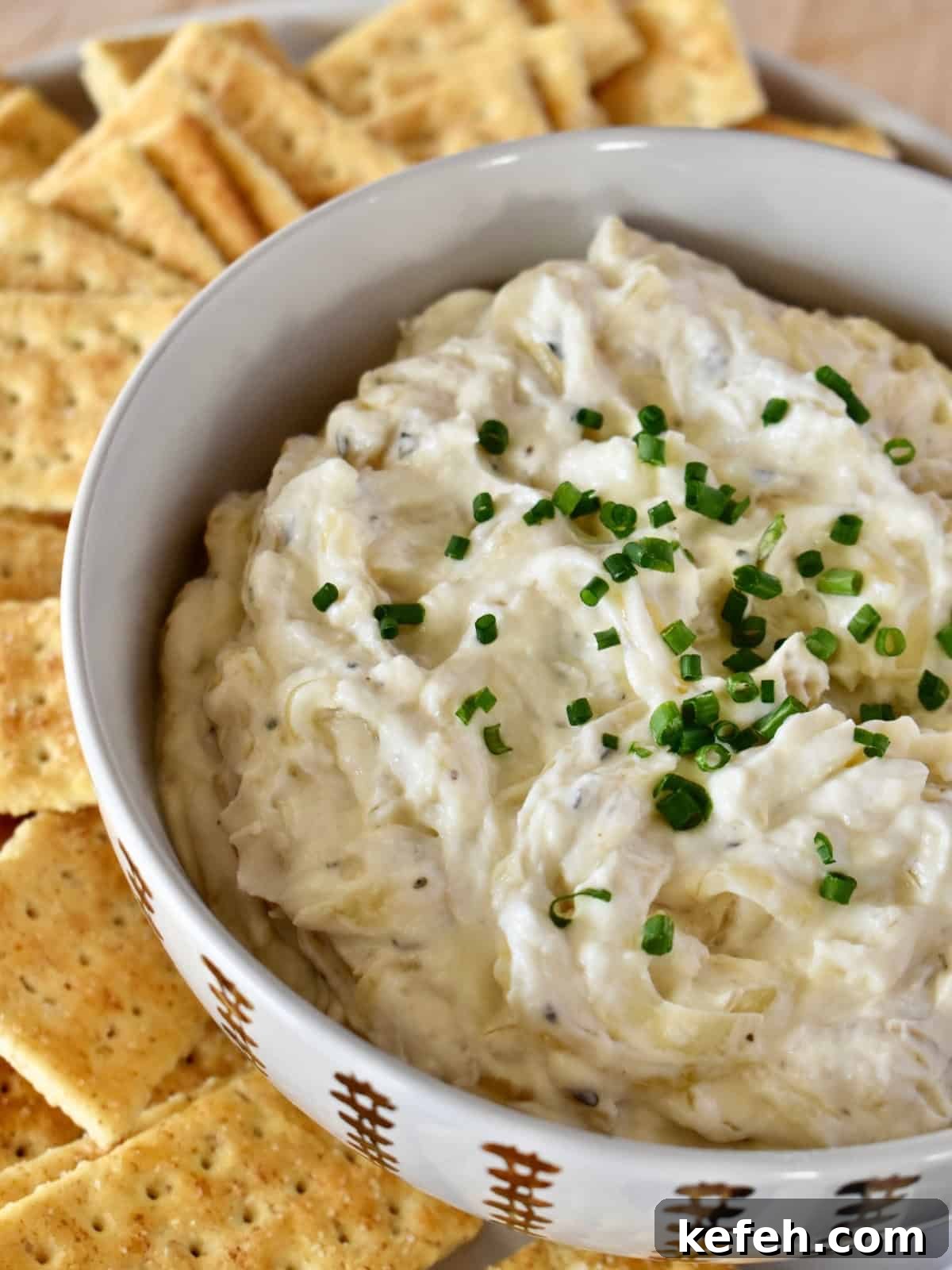 Caramelized Onion Dip Made with Greek Yogurt — Savory Party Dip 2 Caramelized onion dip with greek yogurt in a bowl with crackers.