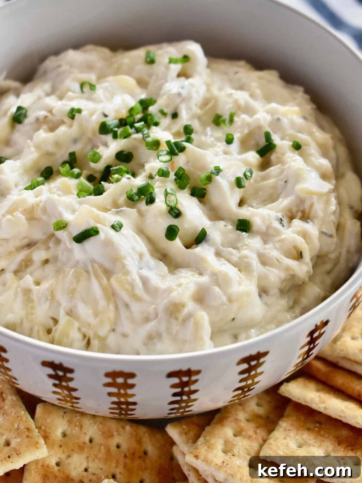 Caramelized Onion Dip Made with Greek Yogurt — Savory Party Dip 9 Caramelized Onion Dip with Greek yogurt in a bowl with crackers next to it.