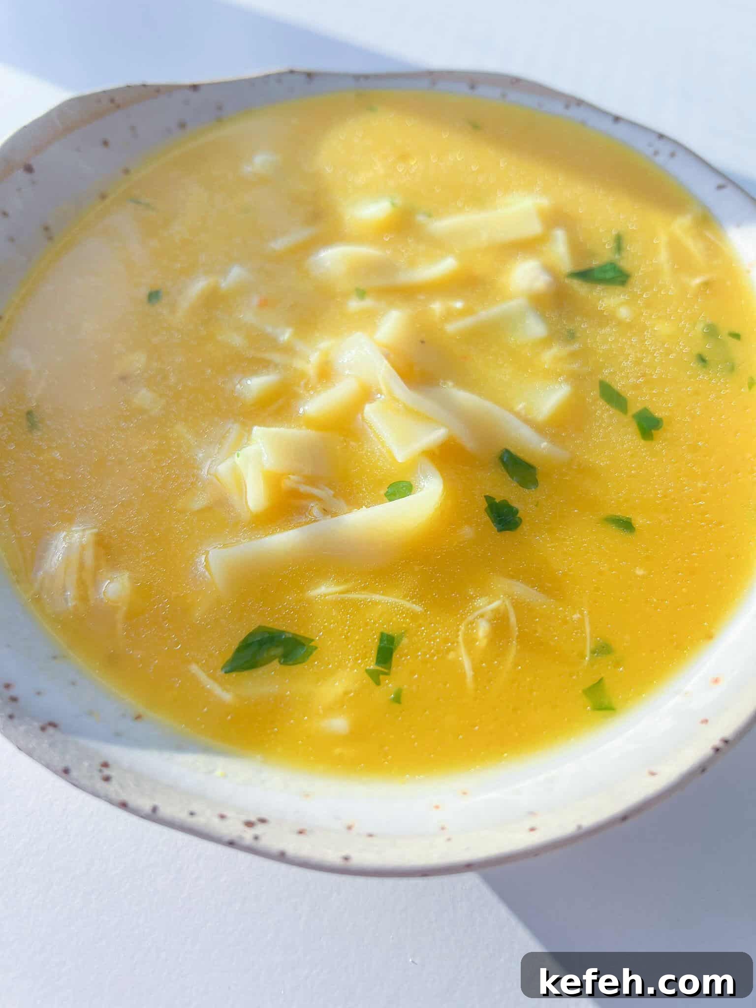 Hidden Veggie Chicken Soup