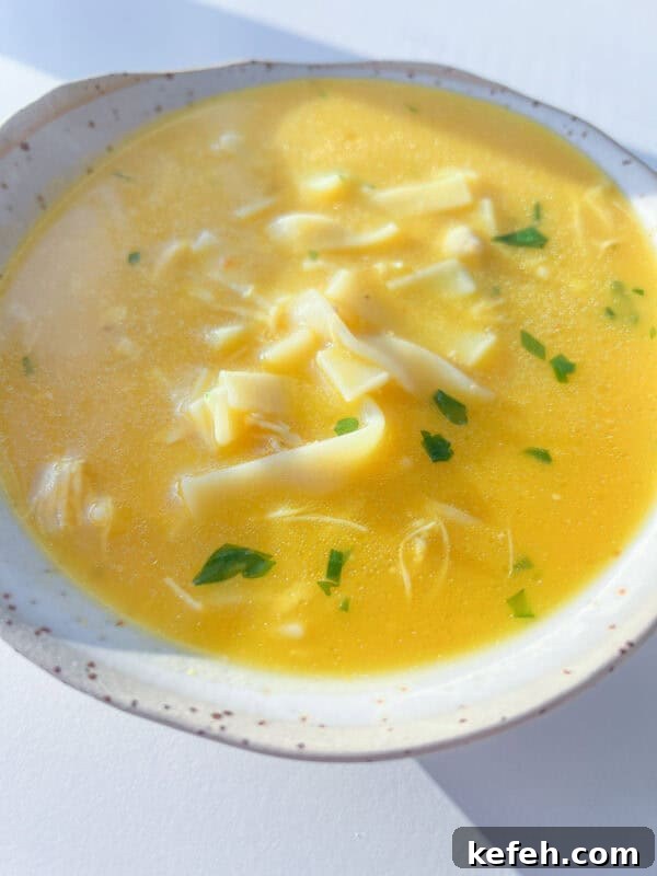 A close-up of a bowl of Hidden Veggie Soup featuring yellow chicken noodle soup with wide noodles, shredded chicken, and sprinkled fresh herbs