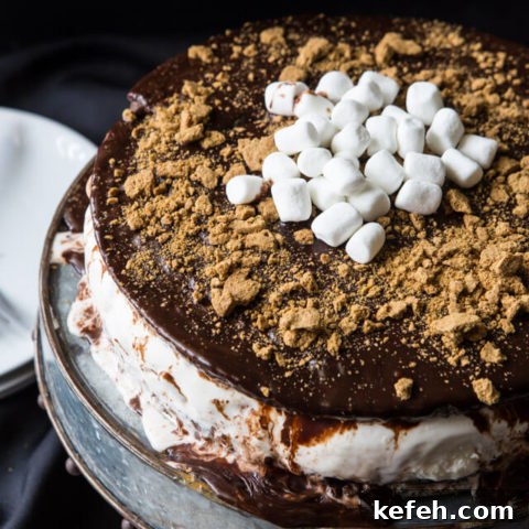 S'more Brownie Ice Cream Cake