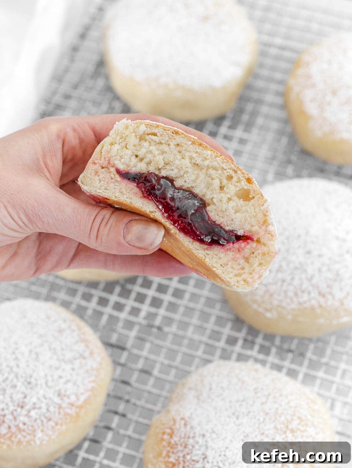 Vegan Bomboloni: Authentic Italian Filled Donuts Recipe 2 Vegan Bomboloni filled with sour cherry jam