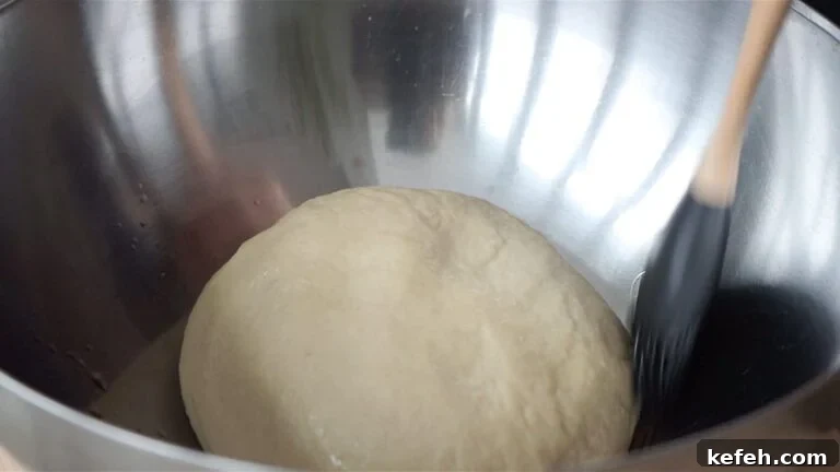 Vegan Bomboloni: Authentic Italian Filled Donuts Recipe 10 Proofing the dough