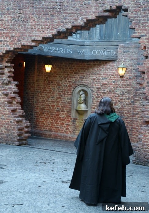 Top Tips for Visiting The Wizarding World of Harry Potter 13 Tammilee wearing a Slytherin Cape in Diagon Alley