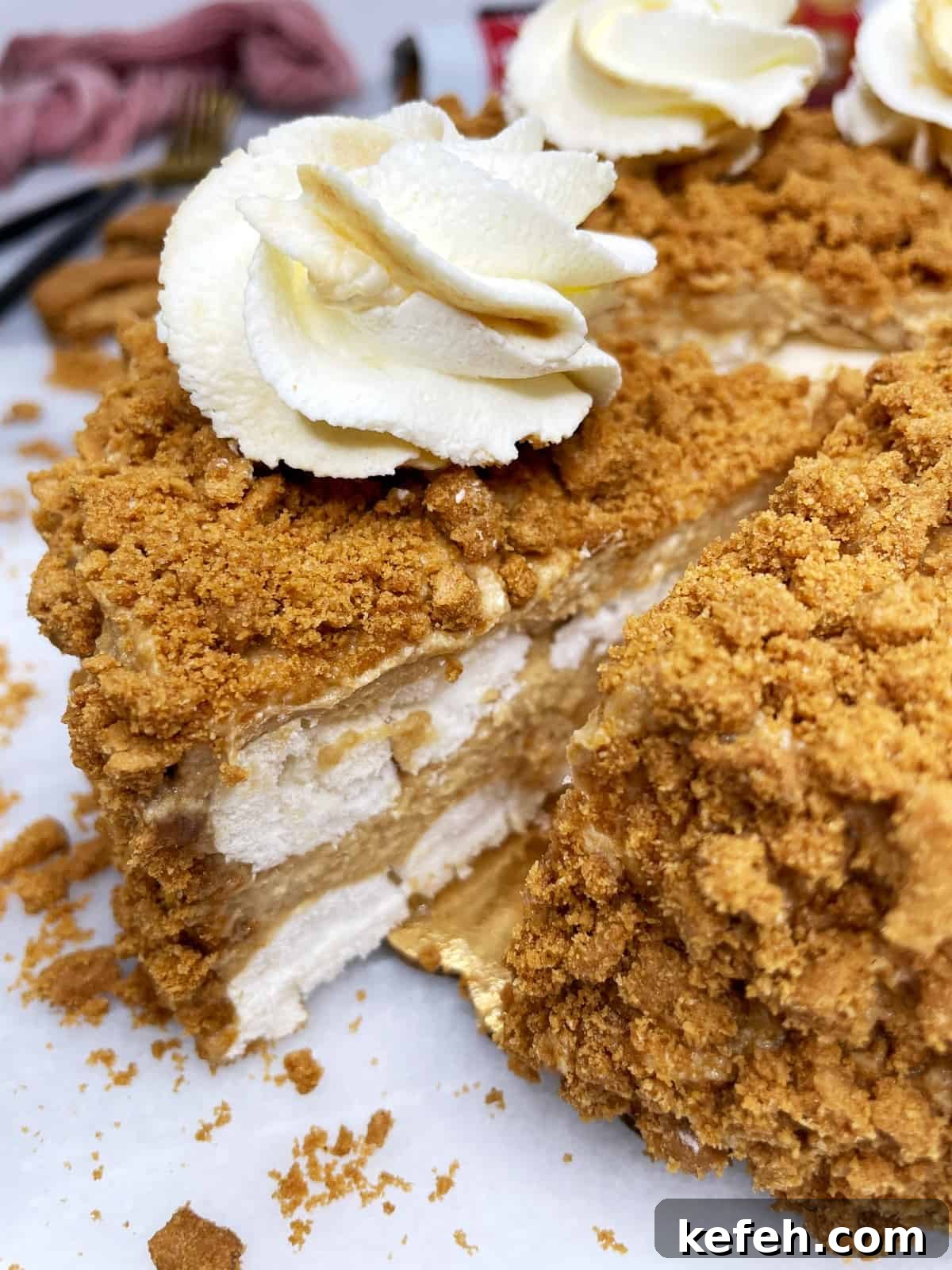 Irresistible Lotus Biscoff Cake Recipe for Creamy Layered Dessert 3 Sliced Lotus cake covered with cookies crumbs