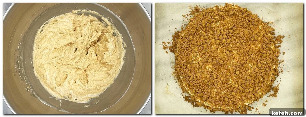 Irresistible Lotus Biscoff Cake Recipe for Creamy Layered Dessert 6 Photo 5: Biscoff cream in a bowl Photo 6: Assembled Lotus Biscoff cake