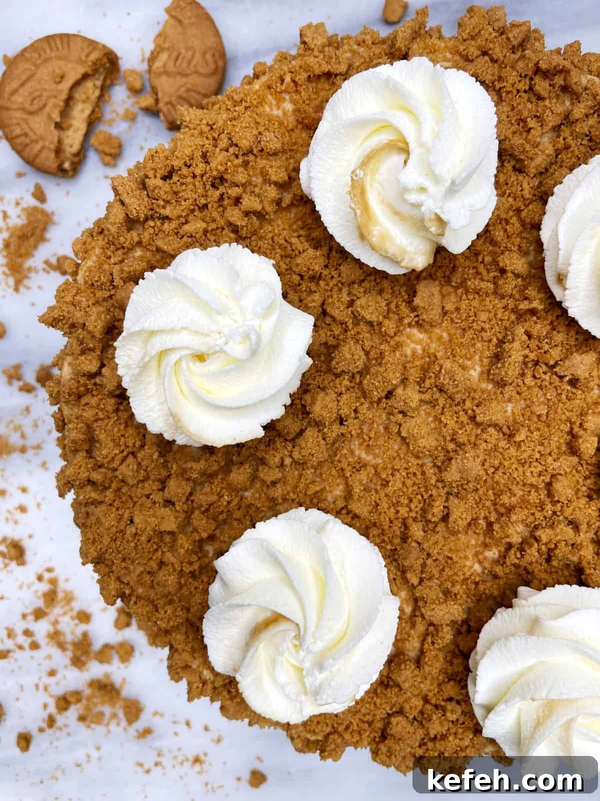 Irresistible Lotus Biscoff Cake Recipe for Creamy Layered Dessert 7 Biscoff cake decorated with cream swirls