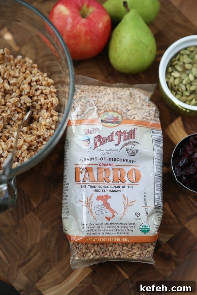 Harvest Farro Salad is chock full of goodness and so much flavor! Such a delicious vegetarian grain salad to serve over the fall and winter season. Would be a great addition to holiday potlucks too! Recipe via aggieskitchen.com Harvest Farro Salad is chock full of goodness and so much flavor! Such a delicious vegetarian grain salad to serve over the fall and winter season. Would be a great addition to holiday potlucks too! Recipe via aggieskitchen.com