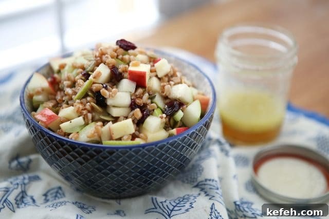 Harvest Farro Salad is chock full of goodness and so much flavor! Such a delicious vegetarian grain salad to serve over the fall and winter season. Would be a great addition to holiday potlucks too! Recipe via aggieskitchen.com Harvest Farro Salad is chock full of goodness and so much flavor! Such a delicious vegetarian grain salad to serve over the fall and winter season. Would be a great addition to holiday potlucks too! Recipe via aggieskitchen.com