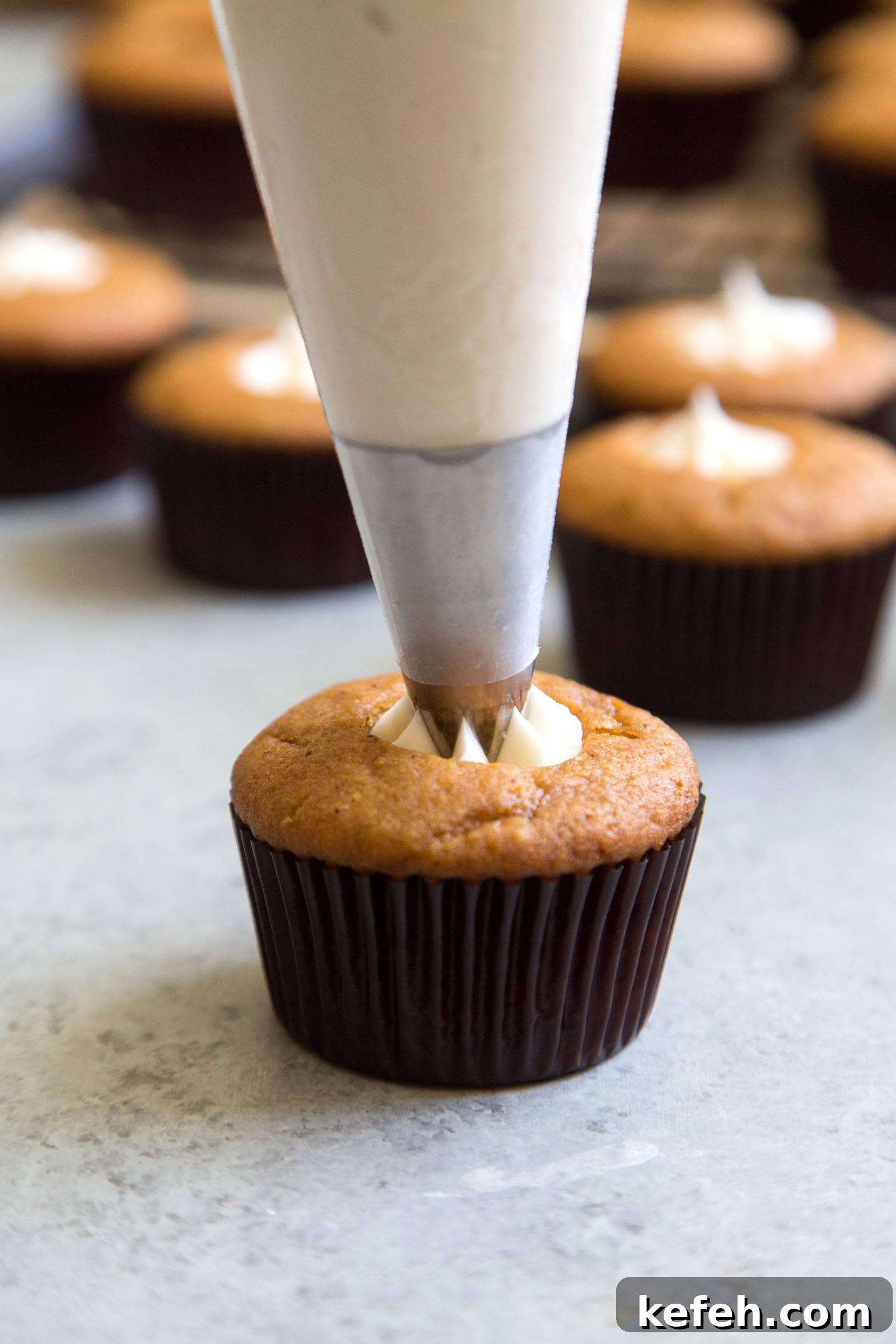 Toasted Marshmallow Butternut Squash Cupcakes 6 Butternut Squash Cupcakes with Toasted Marshmallows
