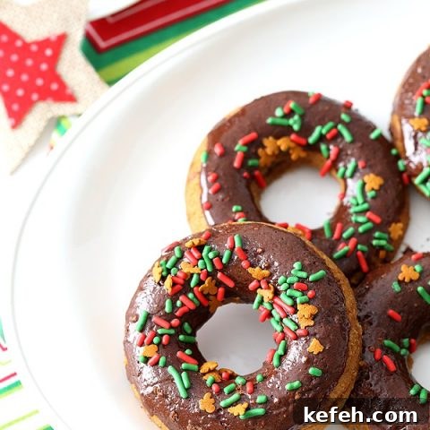 Chocolate Gingerbread Baked Doughnuts