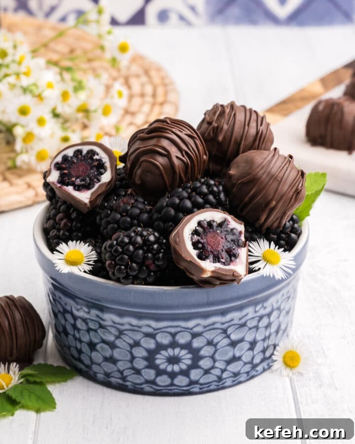 Chocolate covered blackberries in a blue bowl on the table with some cut in half and little white flowers for garnish.