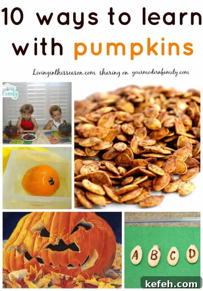 Learning Through Pumpkins: Fall Activities and Lessons for Kids 12 learn with pumpkins