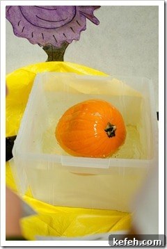 Learning Through Pumpkins: Fall Activities and Lessons for Kids 7 pumpkin float experiment
