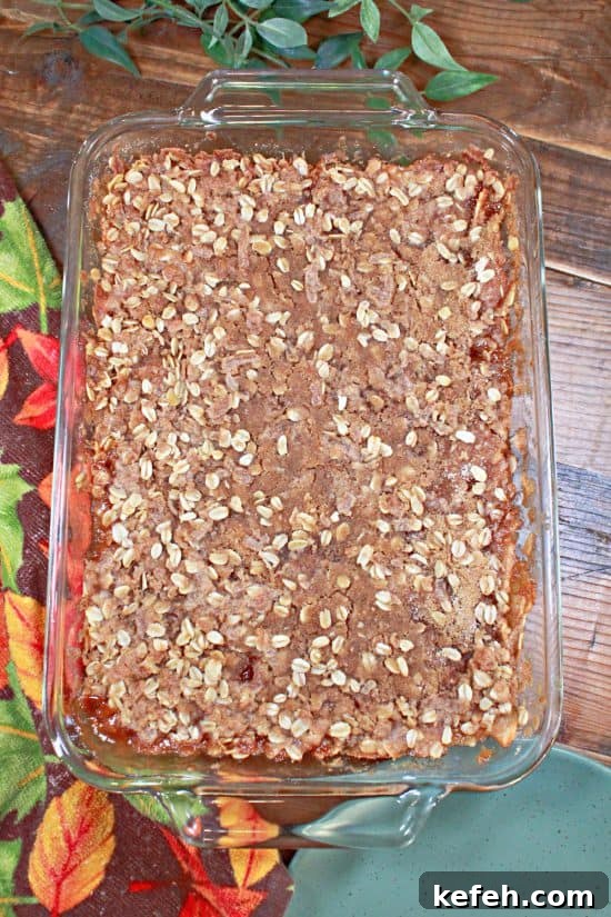 Cinnamon-spiced apples topped with chewy oats, brown sugar, and butter.