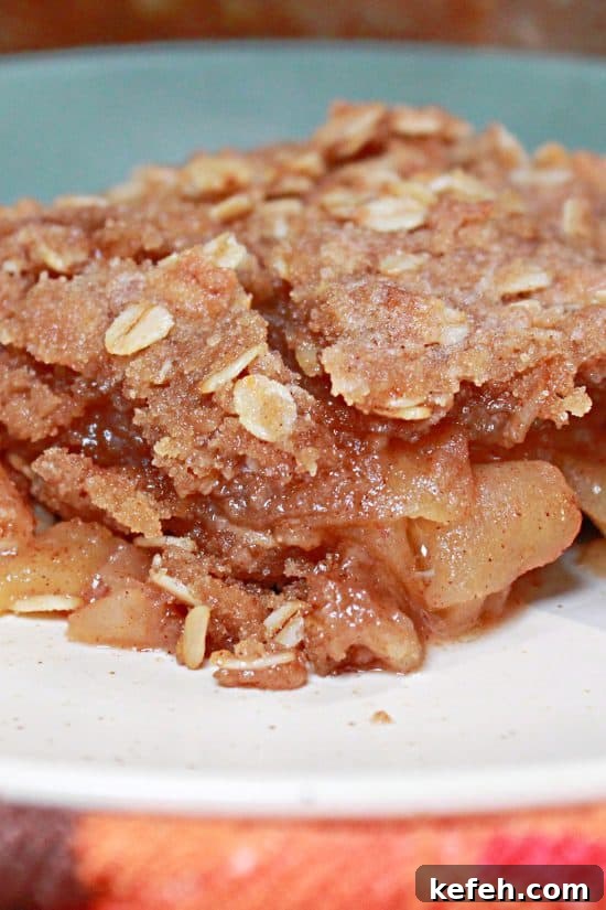 Classic Apple Crisp is a dessert that never goes out of style -- simple, rustic, and bursting with comforting fall flavor.