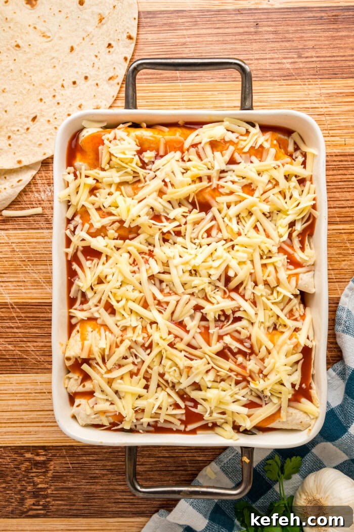Unbaked chicken enchiladas