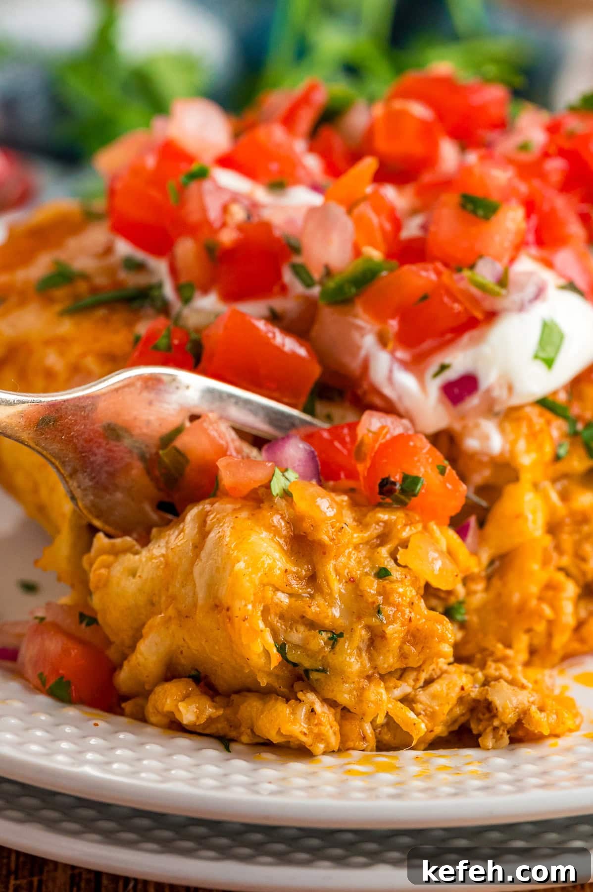 Close up of chicken enchiladas on a plate