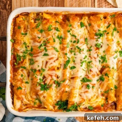 Chicken Enchiladas feature