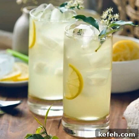 elderflower lemonade featured image