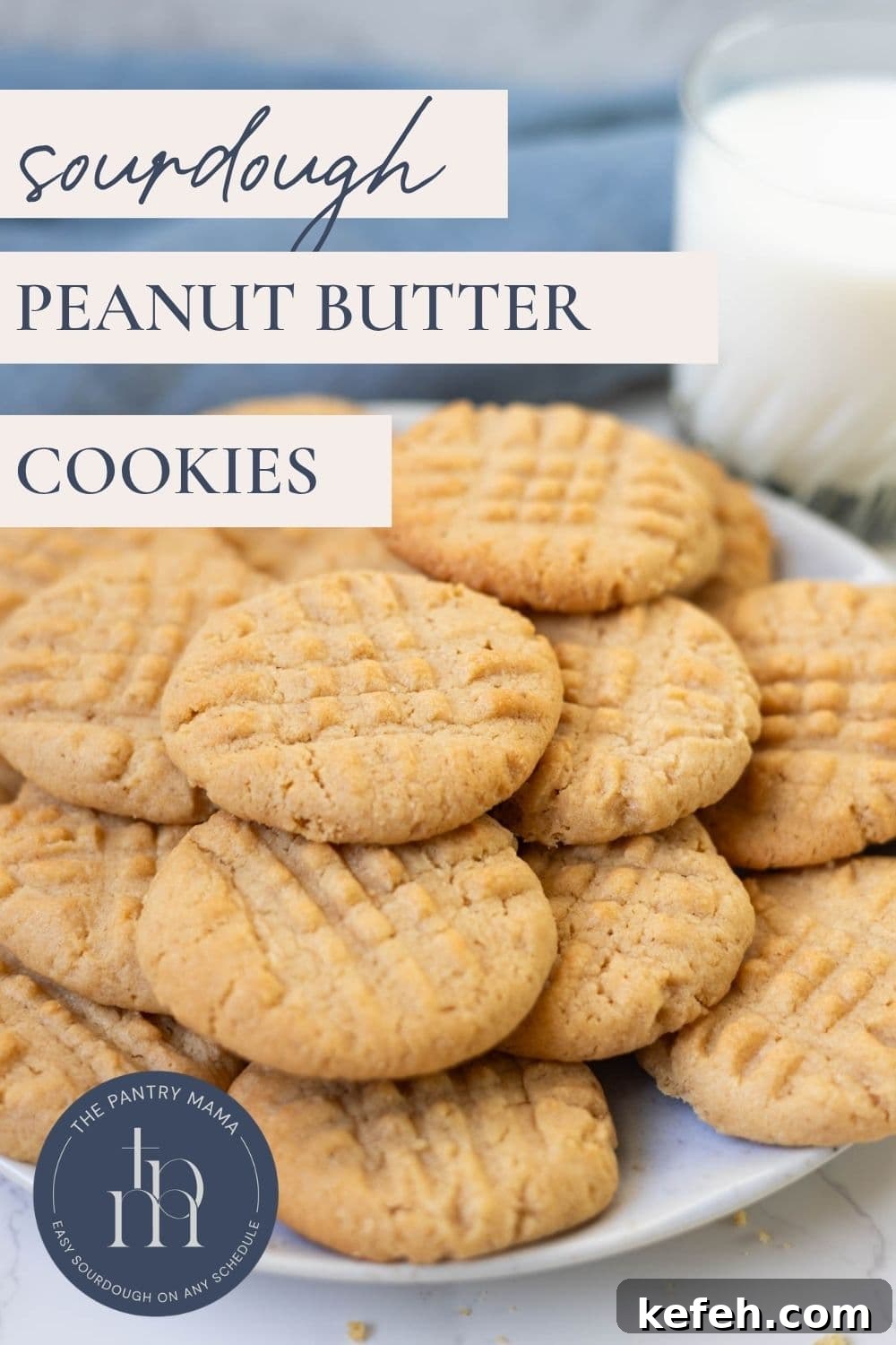 Soft sourdough peanut butter cookies arranged on a plate with a glass of milk and text overlay reading "Sourdough Peanut Butter Cookies."