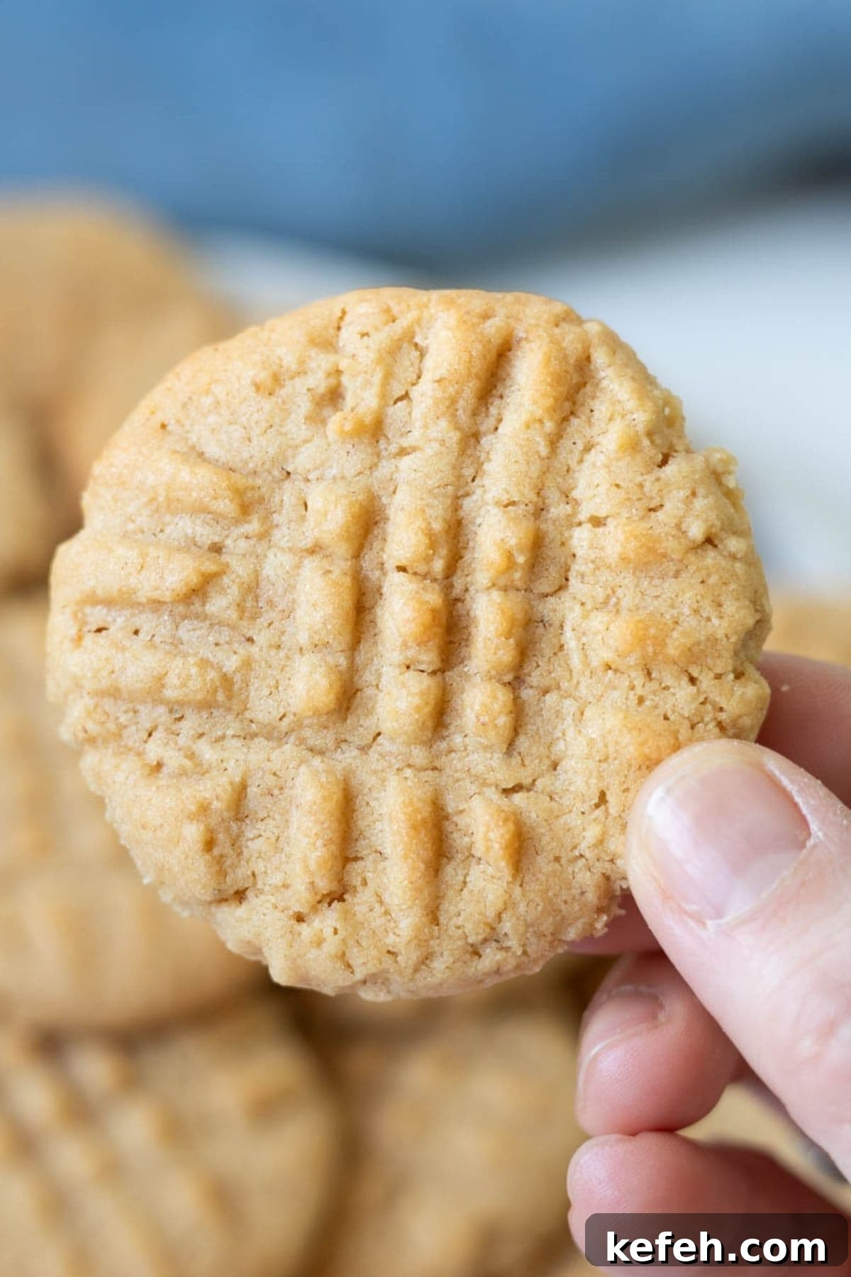 Close-up of a soft sourdough peanut butter cookie showing the classic crisscross fork pattern on top.