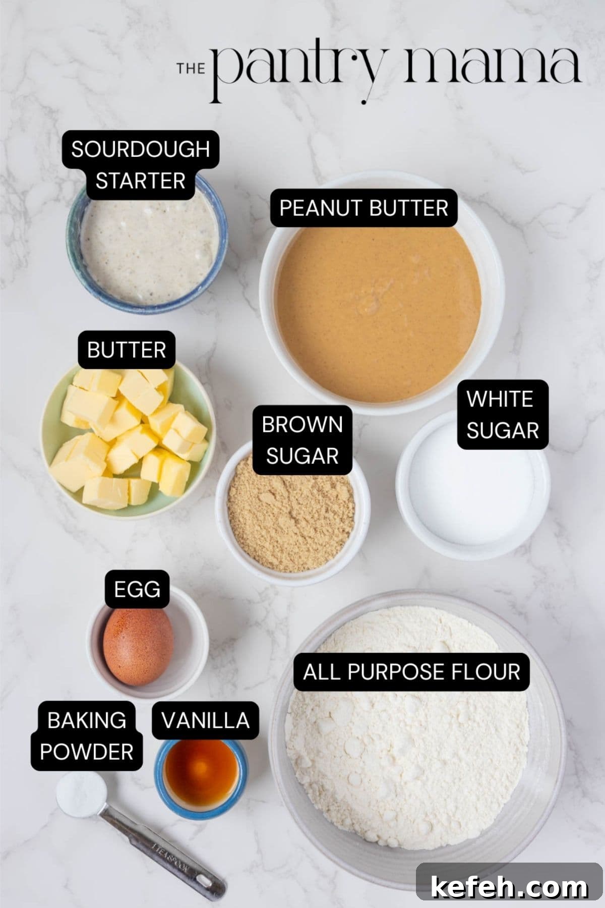 Labeled ingredients for sourdough peanut butter cookies.