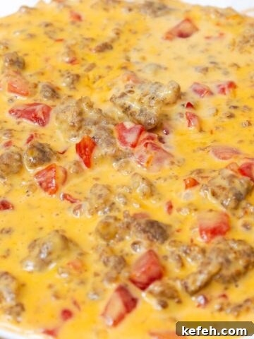 Velveeta Sausage Cheese Dip