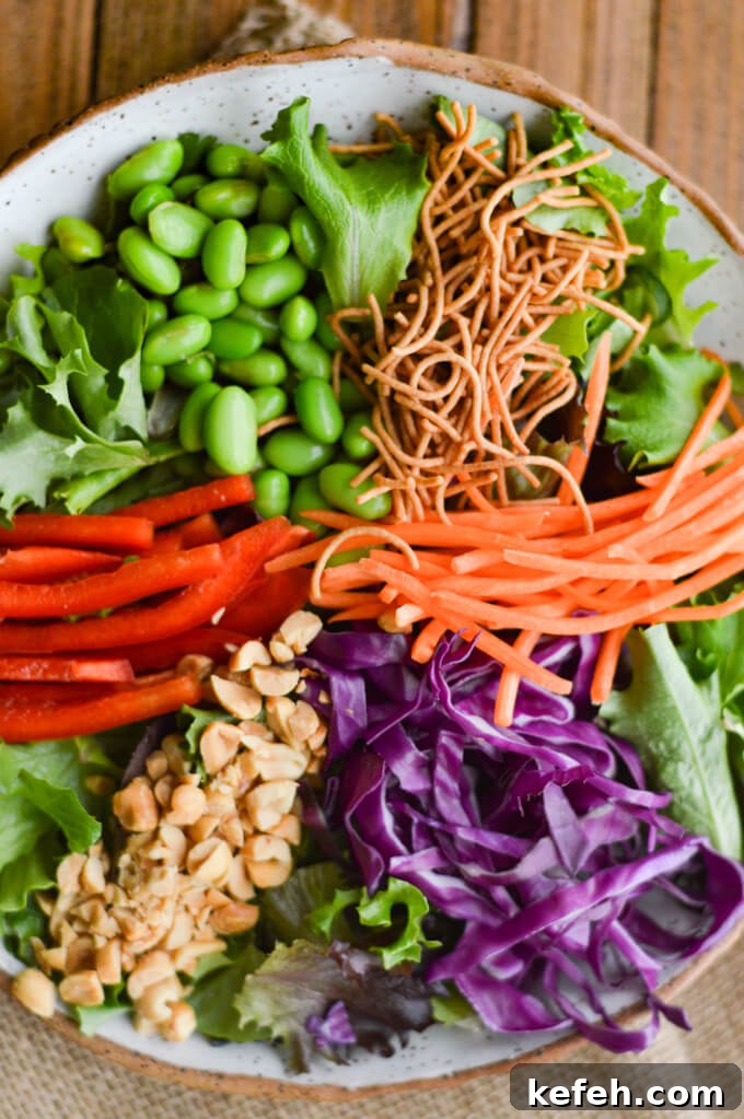 Spicy Peanut Ahi Tuna Salad with Sesame Ginger Dressing 5 A bowl of salad with edamame, red cabbage, peanuts, red peppers and rice noodles.