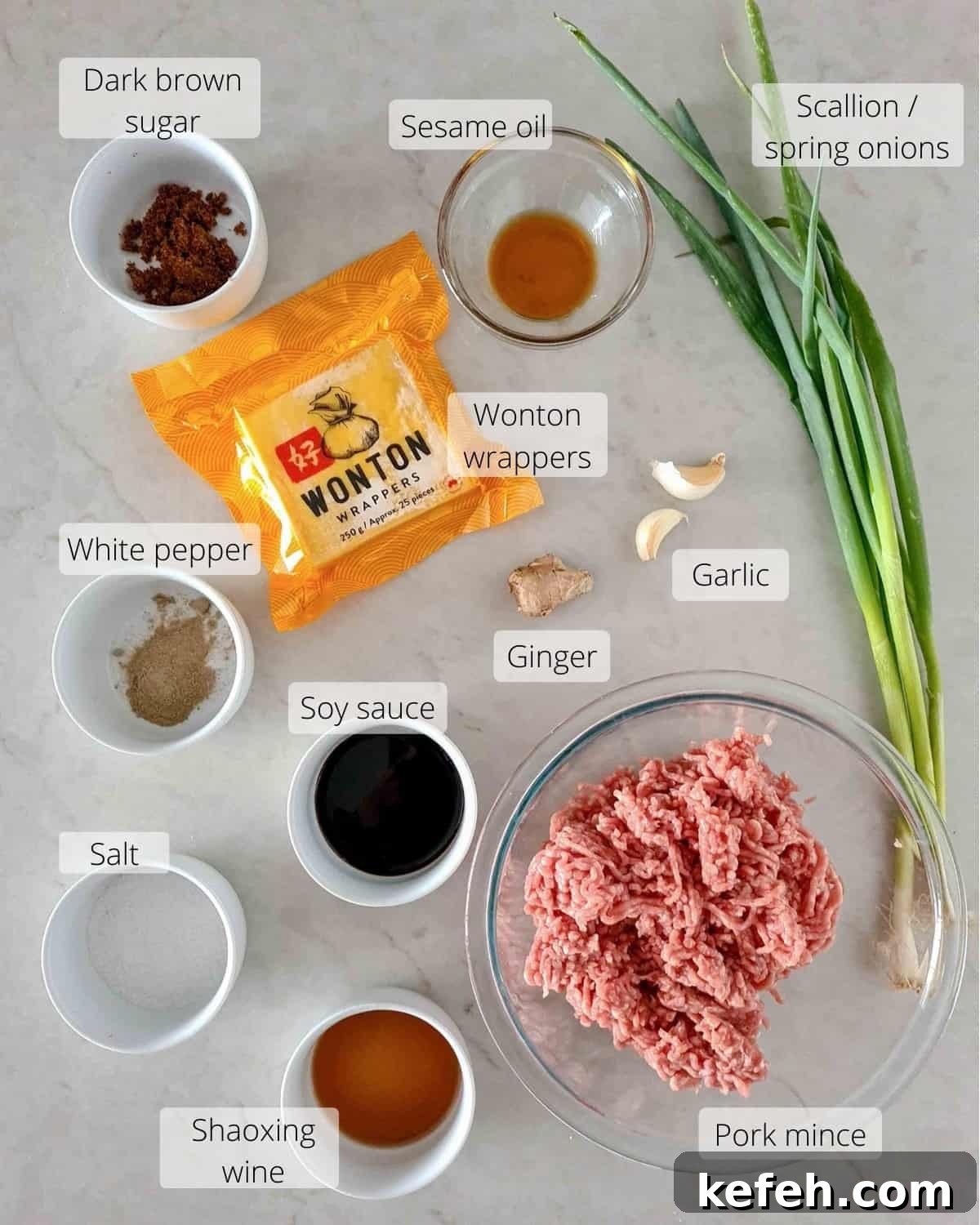 Crispy Pork Wontons Recipe with Ginger-Soy Dipping Sauce 3 Ingredients required for this recipe