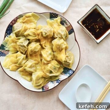 Plateful of pork wontons
