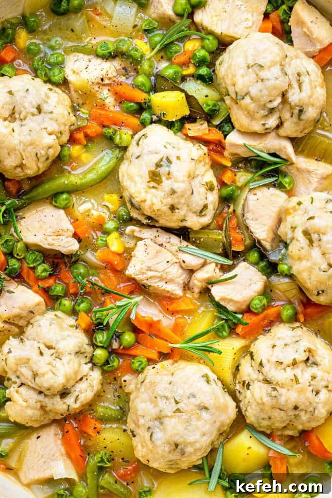 Close up on chicken and dumplings