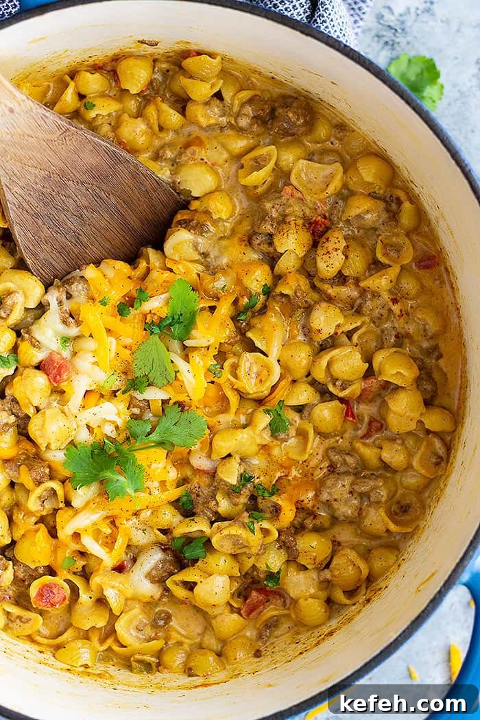 Chile Con Queso Mac and Cheese -is an easy one pot meal that takes only 30 minutes to make. It's a one pot meal that's perfect for any night of the week.