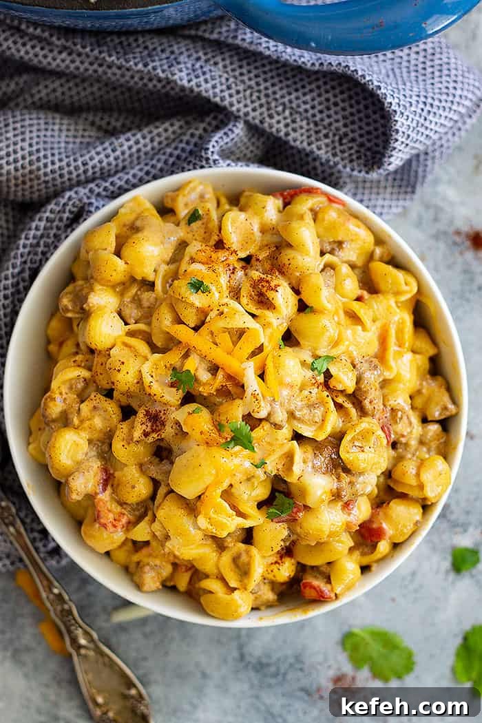 Chile Con Queso Mac and Cheese -an easy one pot meal that's filled with beef, pasta, and cheese! It only takes 30 minutes to make so it's a perfect weeknight meal!