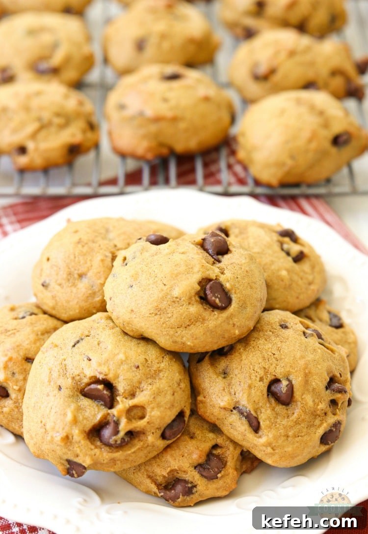 Delicious Pumpkin Chocolate Chip Cookies are incredible pillows of soft and chewy cookie goodness!