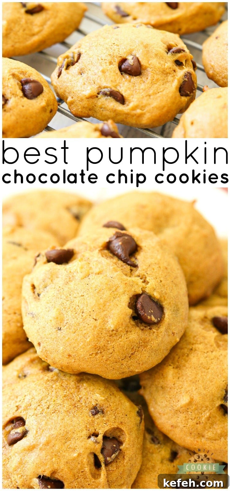 Delicious Pumpkin Chocolate Chip Cookies are incredible pillows of soft and chewy cookie goodness!