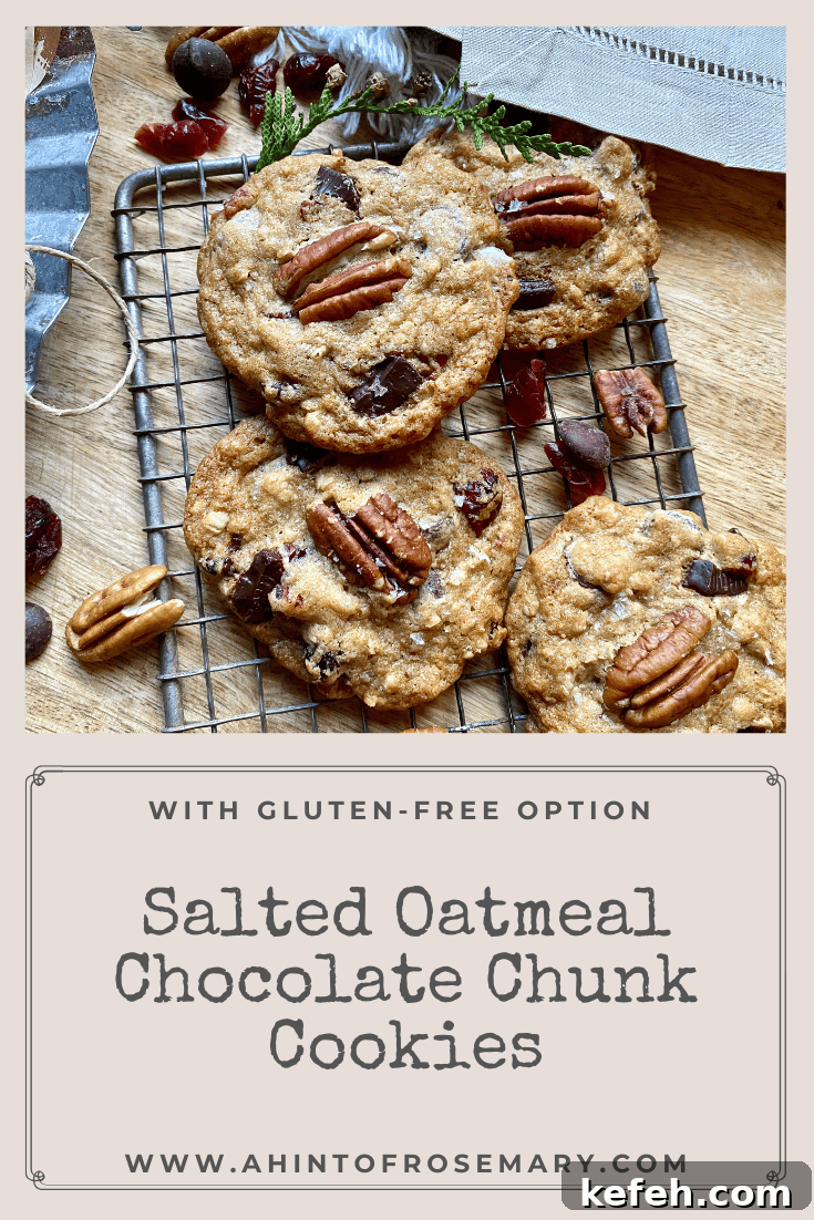 Salted Oatmeal Chocolate Chunk Cookies