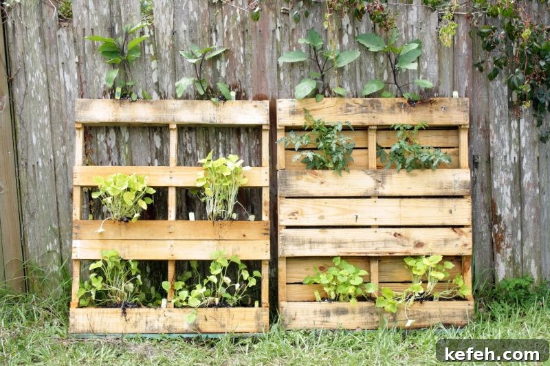 pallets used for vertical gardening