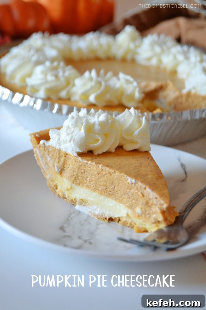 a single slice of pumpkin pie cheesecake on a white dessert plate with the entire pumpkin pie cheesecake in the background