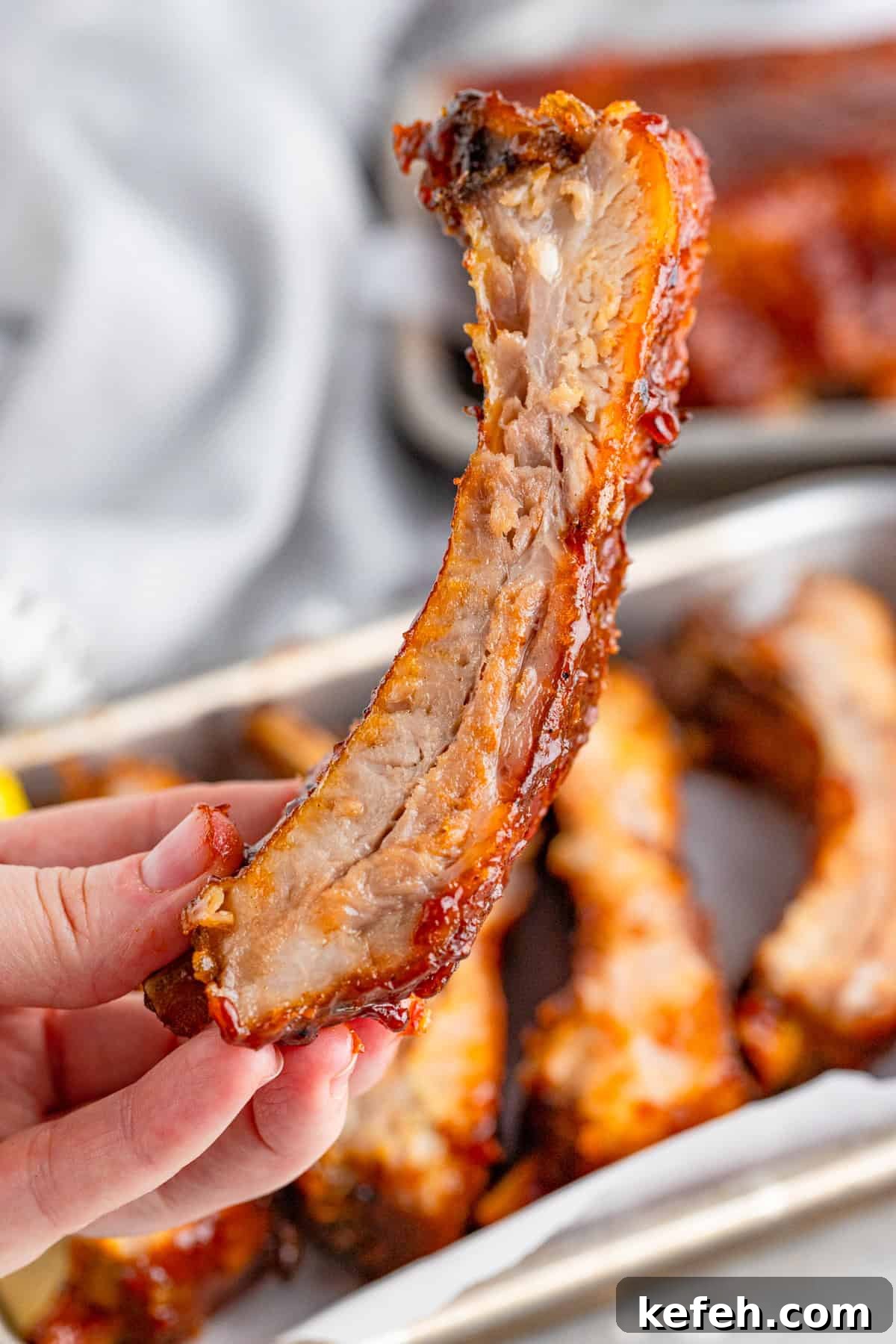 Hand holding up one Rib