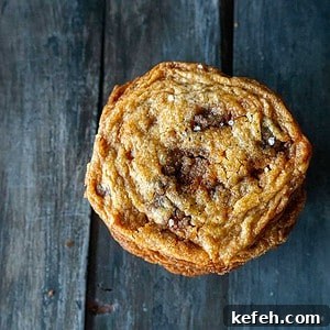 Whiskey Toffee Chocolate Chip Cookies Recipe for Rich Flavor 9 whiskey toffee chocolate chip cookie
