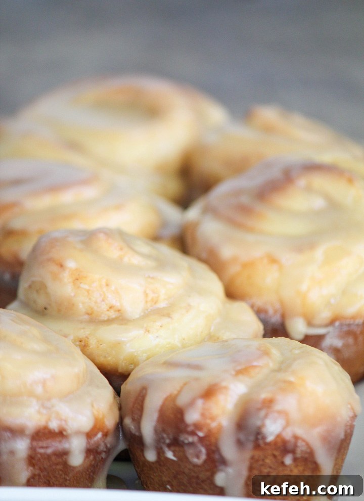 Rum Rolls Rum Rolls