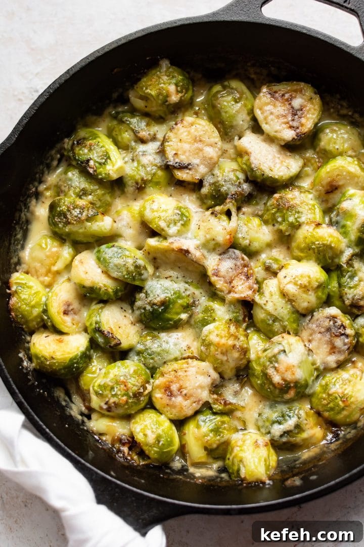 Creamy Brussels Sprouts Gratin with Parmesan and Garlic 3 creamy Brussels sprouts gratin in a skillet